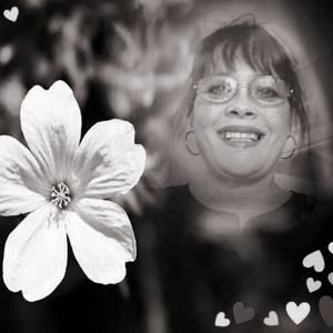 Meet your Posher, Peggy